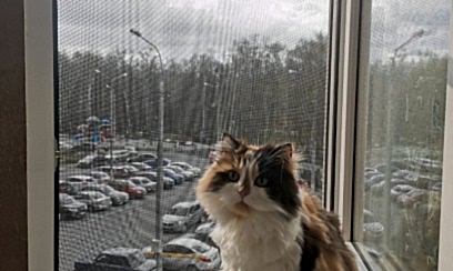 Антикошка pet screen на окна