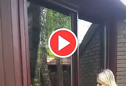 Рулонные сетки